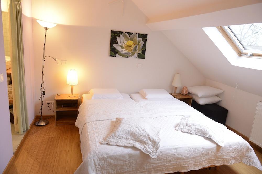 B&B Bio Brussels Saint-Gilles Exterior foto